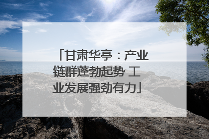 甘肃华亭：产业链群蓬勃起势 工业发展强劲有力