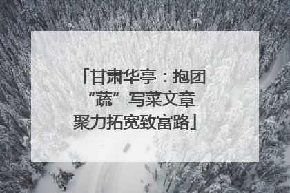 甘肃华亭：抱团“蔬”写菜文章 聚力拓宽致富路