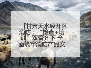 甘肃天水经开区消防：“检查+培训”双管齐下 全面筑牢消防产品安全防线