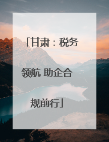 甘肃：税务领航 助企合规前行