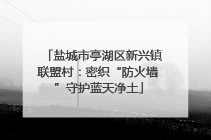 盐城市亭湖区新兴镇联盟村：密织“防火墙”守护蓝天净土