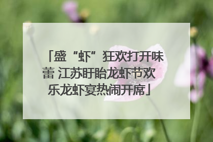 盛“虾”狂欢打开味蕾 江苏盱眙龙虾节欢乐龙虾宴热闹开席