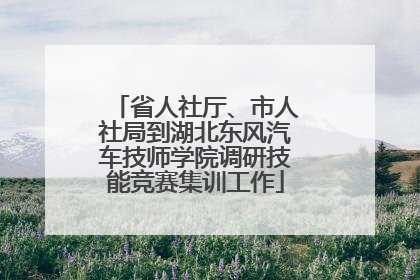 省人社厅、市人社局到湖北东风汽车技师学院调研技能竞赛集训工作