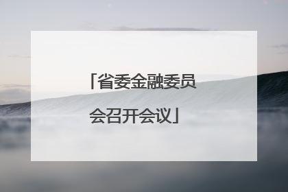 省委金融委员会召开会议