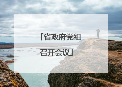 省政府党组召开会议