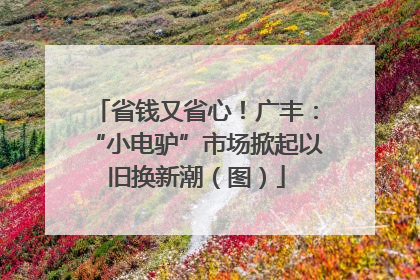 省钱又省心！广丰：“小电驴”市场掀起以旧换新潮（图）