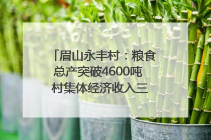 眉山永丰村：粮食总产突破4600吨 村集体经济收入三年倍增｜牵挂的村