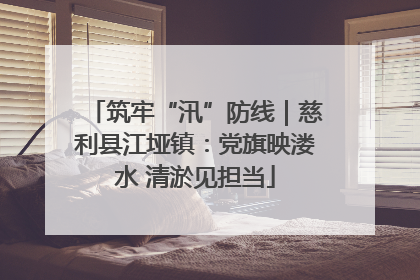 筑牢“汛”防线｜慈利县江垭镇：党旗映溇水 清淤见担当