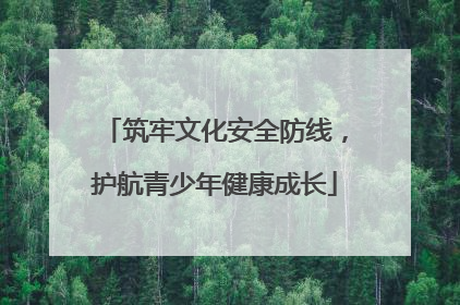 筑牢文化安全防线，护航青少年健康成长