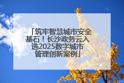 筑牢智慧城市安全基石！长沙政务云入选2025数字城市管理创新案例