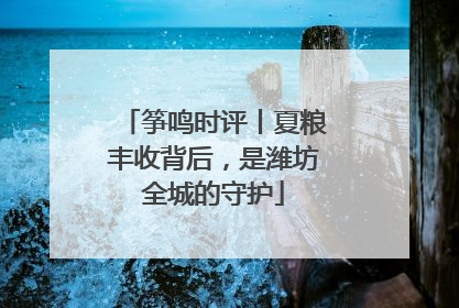 筝鸣时评丨夏粮丰收背后，是潍坊全城的守护