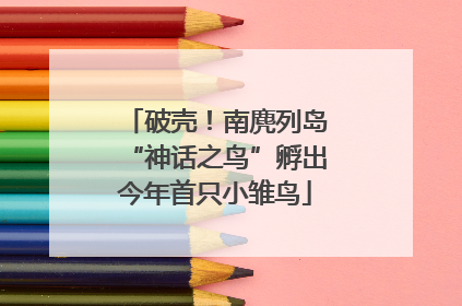破壳！南麂列岛“神话之鸟”孵出今年首只小雏鸟