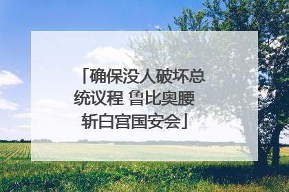 确保没人破坏总统议程 鲁比奥腰斩白宫国安会