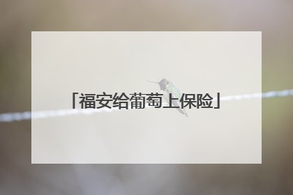 福安给葡萄上保险