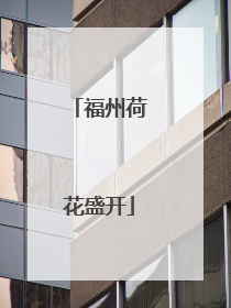 福州荷花盛开