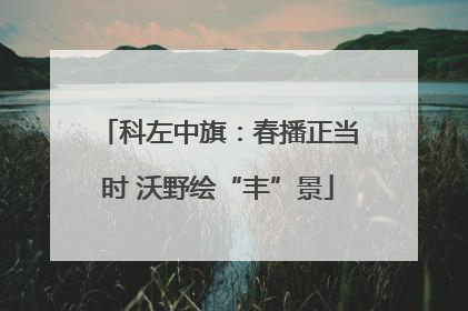 科左中旗：春播正当时 沃野绘“丰”景