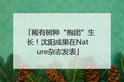 稀有树种“抱团”生长！沈阳成果在Nature杂志发表