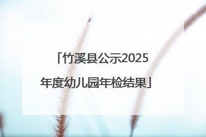 竹溪县公示2025年度幼儿园年检结果