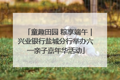 童趣田园 粽享端午｜兴业银行盐城分行举办六一亲子嘉年华活动