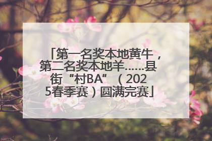 第一名奖本地黄牛，第二名奖本地羊……县街“村BA”（2025春季赛）圆满完赛