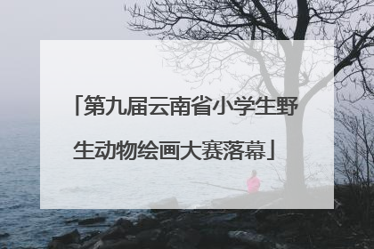 第九届云南省小学生野生动物绘画大赛落幕