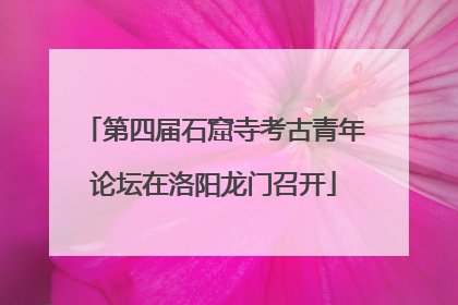 第四届石窟寺考古青年论坛在洛阳龙门召开