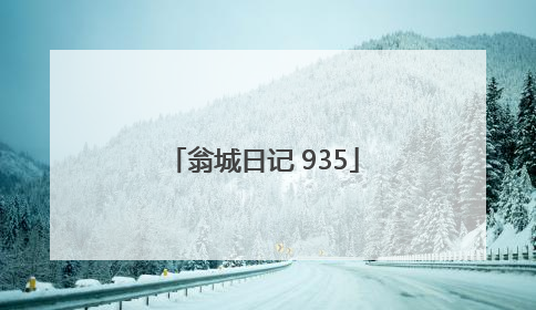 翁城日记 935
