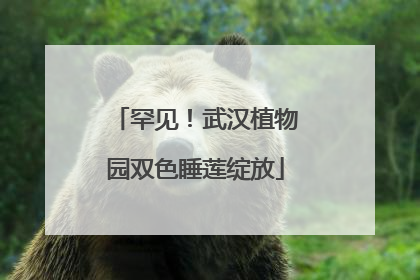 罕见！武汉植物园双色睡莲绽放