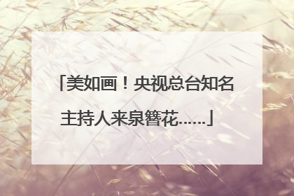 美如画！央视总台知名主持人来泉簪花……