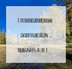 美锦能源姚锦丽：深耕氢能蓝海，领航绿色未来