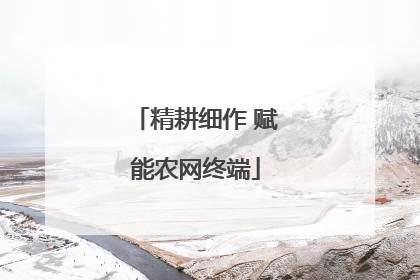 精耕细作 赋能农网终端