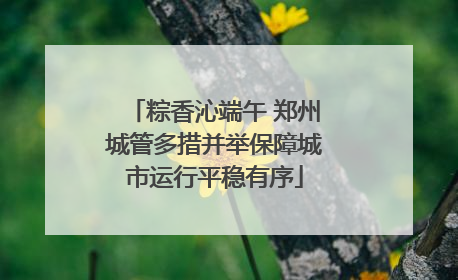 粽香沁端午 郑州城管多措并举保障城市运行平稳有序