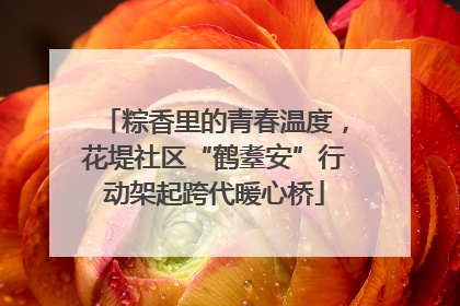粽香里的青春温度，花堤社区“鹤耋安”行动架起跨代暖心桥
