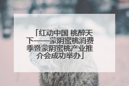 红动中国 桃醉天下——蒙阴蜜桃消费季暨蒙阴蜜桃产业推介会成功举办