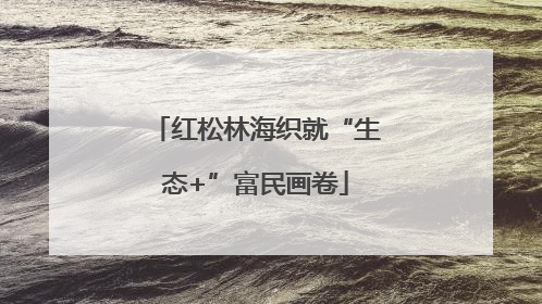 红松林海织就“生态+”富民画卷
