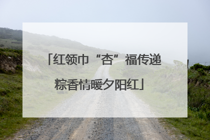 红领巾“杏”福传递 粽香情暖夕阳红