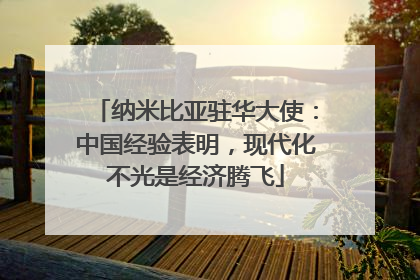 纳米比亚驻华大使：中国经验表明，现代化不光是经济腾飞