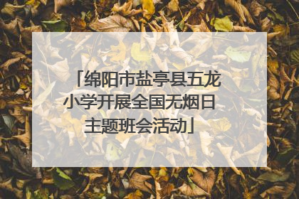 绵阳市盐亭县五龙小学开展全国无烟日主题班会活动