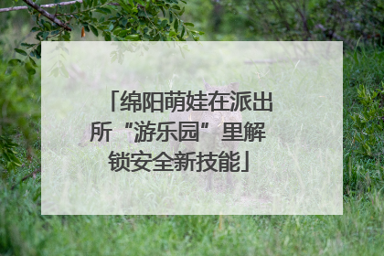 绵阳萌娃在派出所“游乐园”里解锁安全新技能