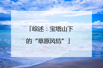 综述：宝塔山下的“草原风情”