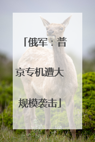 俄军：普京专机遭大规模袭击