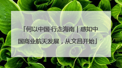 何以中国·行走海南｜感知中国商业航天发展，从文昌开始