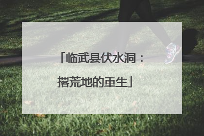 临武县伏水洞：撂荒地的重生