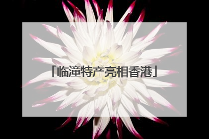 临潼特产亮相香港
