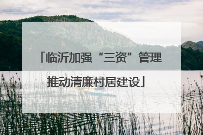 临沂加强“三资”管理 推动清廉村居建设