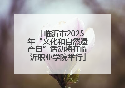 临沂市2025年“文化和自然遗产日”活动将在临沂职业学院举行