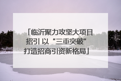 临沂聚力攻坚大项目招引 以“三重突破”打造招商引资新格局