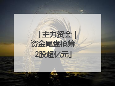 主力资金｜资金尾盘抢筹2股超亿元