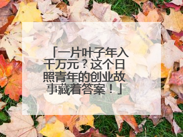 一片叶子年入千万元？这个日照青年的创业故事藏着答案！