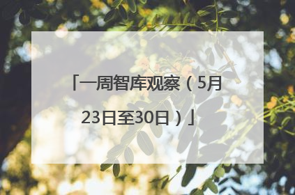 一周智库观察（5月23日至30日）